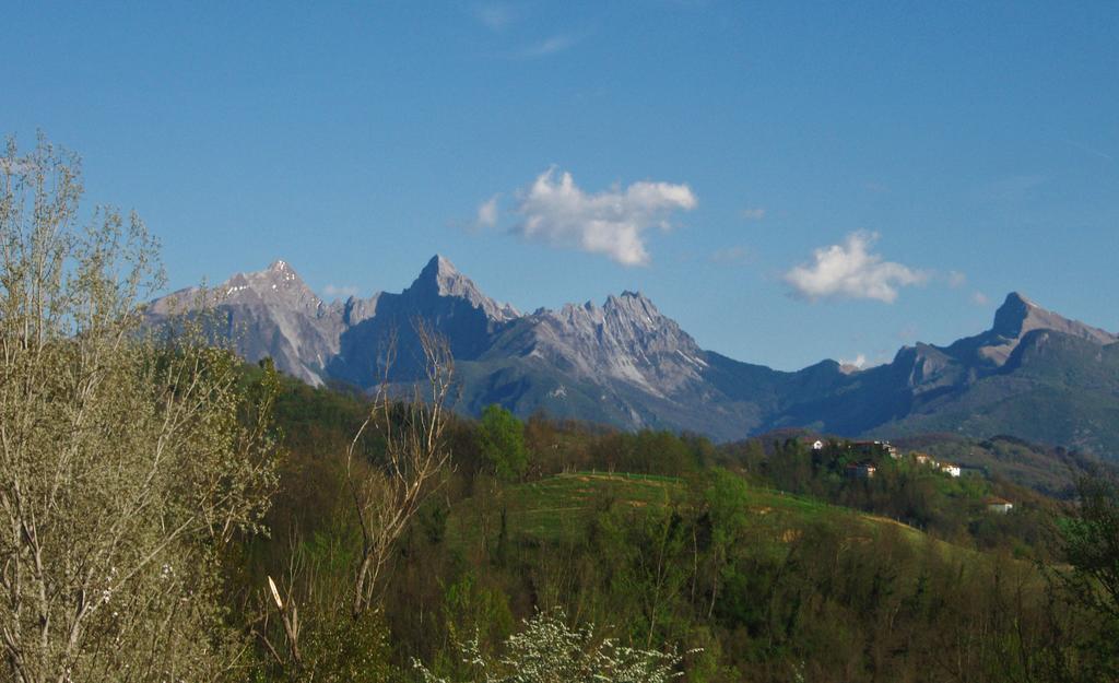 Forni Rosaia Villa Olivola  Exterior foto