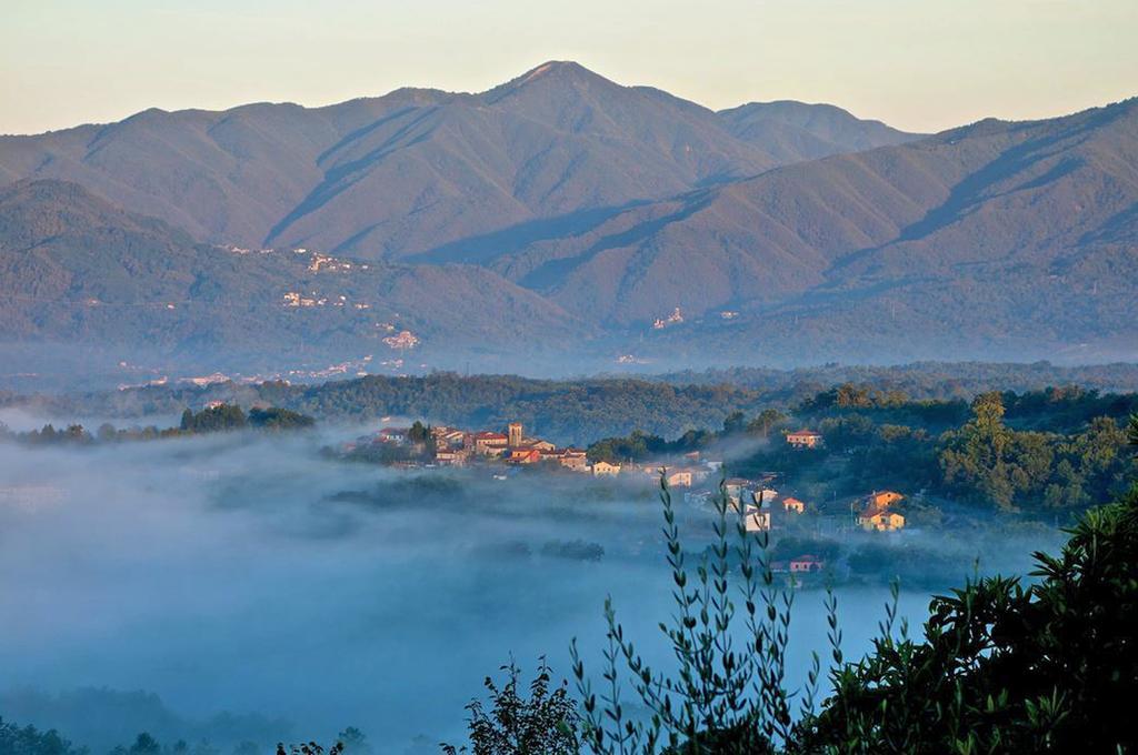 Forni Rosaia Villa Olivola  Exterior foto