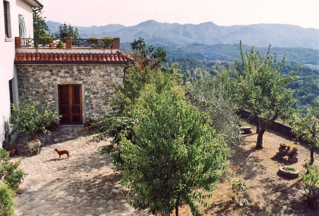 Forni Rosaia Villa Olivola  Exterior foto